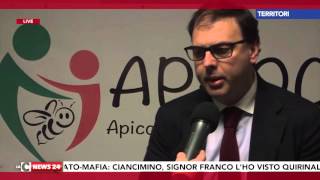 tg-news-7-02-2016-giorno